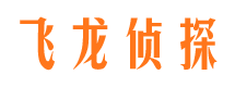 芙蓉市私人侦探